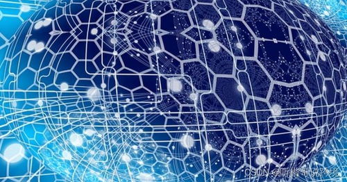 網(wǎng)頁(yè)抓取與網(wǎng)頁(yè)爬取的區(qū)別及其在自然科學(xué)研究與試驗(yàn)發(fā)展中的作用